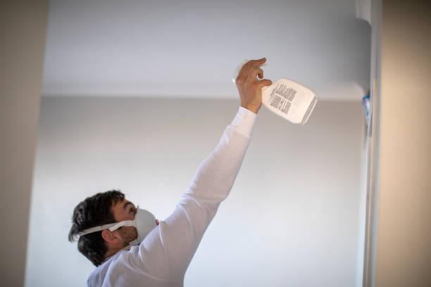 Best Basement Mold Remediation in Kennedale, TX
