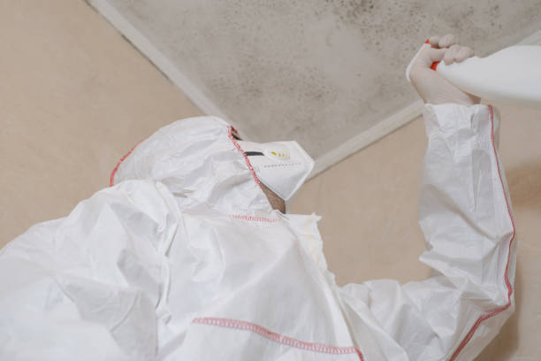 Best Black Mold Remediation in Kennedale, TX